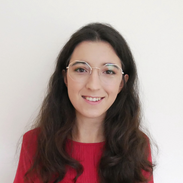 Sara Júnior