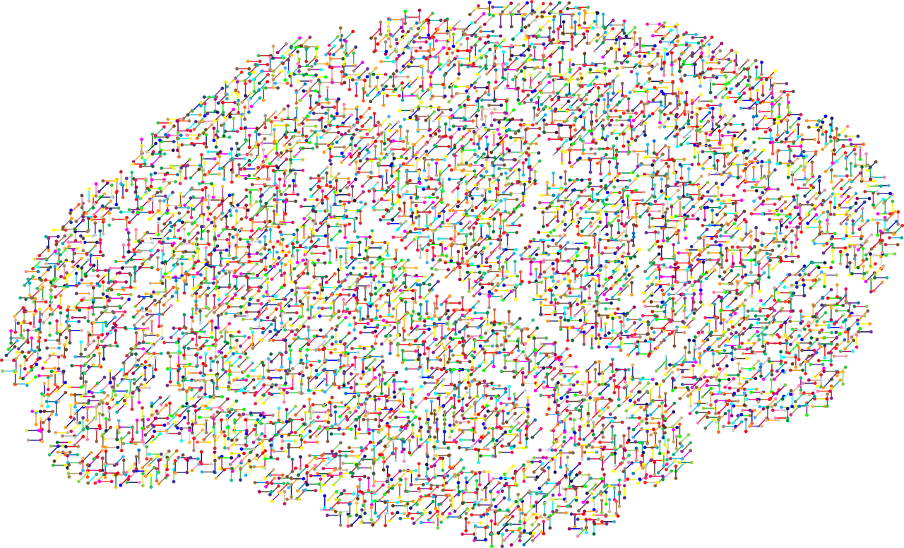 brain