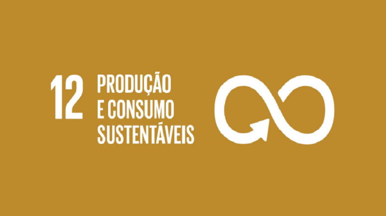 Livros PNL - objetivo 12 - Produção e Consumo Sustentáveis