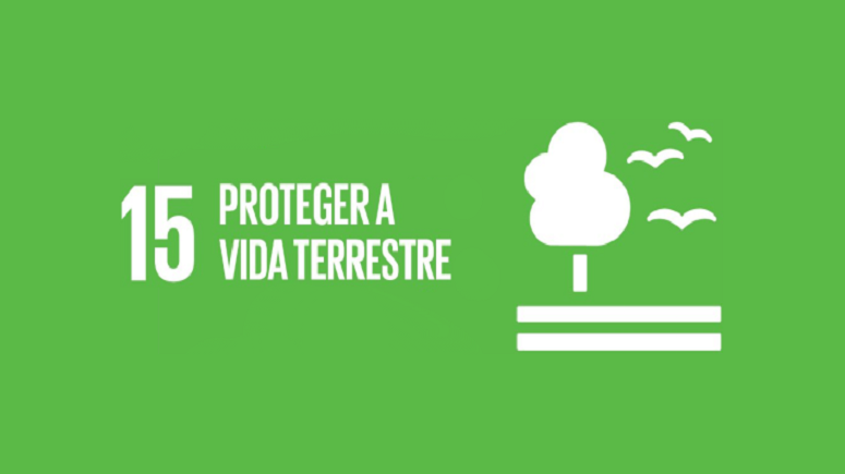 Livros PNL - objetivo 15  - Proteger a Vida Terrestre