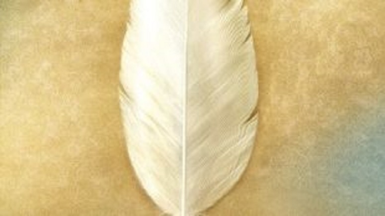 9 sessão